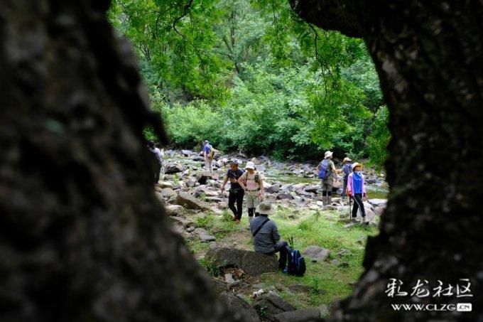 洲明科技(300232.SZ)：鸿蒙智慧杆主要应用于智慧园区、智慧城市、智慧交通等领域